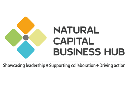 41 Global Companies Aim to Spur Corporate Action with New Online Platform Linking Nature with Business Benefits